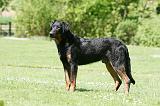 BEAUCERON 827